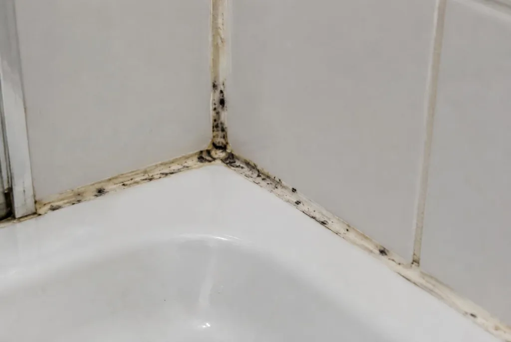Kitbedrijf Den Haag – beschimmelde kitranden